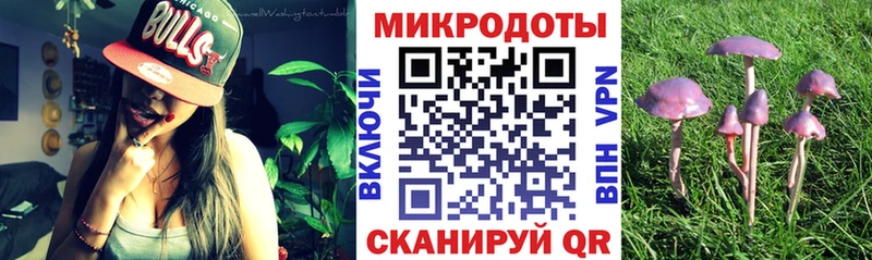 цена наркотик  Шатура  Галлюциногенные грибы GOLDEN TEACHER 